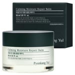 Pyunkang Yul Calming Moisture Repair Face Lotion, 30 ml