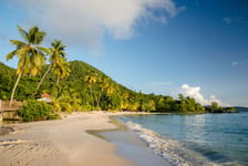 Plage de lanse Figuier  la Martinique