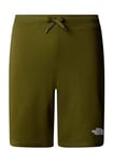 THE NORTH FACE Graphic Shorts Vert Olive XL