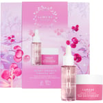 Lumene Nordic Bloom Berry Smooth Firming Set