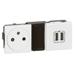 Legrand - Prise de courant 2P+T surface + chargeur 2 usb type-A mosaic 2x2 modules blanc 077595