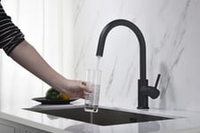 Kitchen Faucet With Pull-Out Hose Blue Water Plaza Matte Black