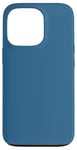 Coque pour iPhone 13 Pro Couleur bleu acier