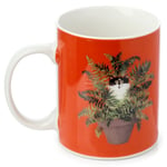 Coffee Mug Kitten Cat in a Plant Pot Red Tea Cup 300 ml Kim Haskins