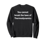 You cannot break the laws of Thermodynamic Physics Sweatshirt