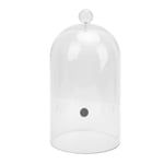 Smoking Cloche Safe Decorative Clear Cocktail Smoker Dome For Home