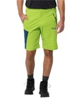 Jack Wolfskin Glastal Shorts M Shorts Fresh Green 30