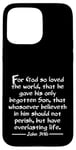 iPhone 15 Pro Max John 3:16 Whole Verse King James Bible For God So Loved KJV Case