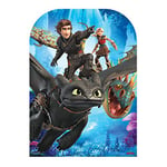 Star Cutouts SC1301 How To Train Your Dragon Toothless Hiccup Stormfly Astrid - Child Size Party Stand In - Height 130cm Width 96cm