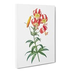 Turban Lily Flowers By Pierre Joseph Redoute Vintage Canvas Wall Art Print Ready to Hang, Framed Picture for Living Room Bedroom Home Office Décor, 24x16 Inch (60x40 cm)