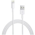 iPod / iPhone / iPad - Lightning USB kabel - 0.10 m