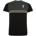 Liverpool FC Childrens/Kids Panel T-Shirt - 9-10 Years