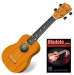 Ukulele Guitare Hawaii Uke 4 Corde Nylon Mensur Soprano Corps Bois Dur Naturelle