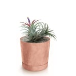 Botle Pot De Fleur Rond Terre Cuite Marron Plastique Beton Effect Cache Pot 12,8 Cm Decoratif Bac A Plantes Avec Soucoupe Fleurs