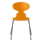 Fritz Hansen - Myran 3101 Burnt Yellow Färgad Ask/Warm Graphite - Matstolar - designer_arne_jacobsen - Gul - Metall/Trä