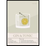 Poster Gallerix Gin Tonic Cocktail