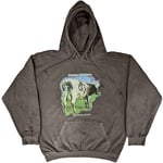 Pink Floyd Unisex Pullover Hoodie: Atom Heart Mother Fade (X-Small)