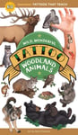 Wild, Wonderful Tattoo Woodland Animals  60 Temporary Tattoos That Teach