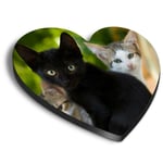 Heart MDF Magnets - Cute Kittens Black Tabby Ginger Cat #24573