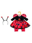 Dolly Moda Costume Lady Bug 43cm