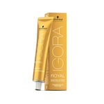 Teinture permanente Igora Royal Absolutes Schwarzkopf 7-10 [60 ml]