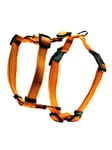 Dogman H-sele Iris orange 20mm