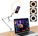 10 "" Ring Light Pour Le Bureau Avec Support Et Support De Téléphone, Tripod Ring Light, Lumière De Conférence Vidéo Avec Bracelet De Bureau Réglable Pour Youtube, Tiktok (Blanc)[YIN143521]