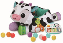 Vtech Moosical Activities Ball Pit