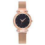 Basfur Dress Watch Fe-Montre-008-04