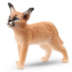 SCHLEICH - Figurine de l'univers des animaux sauvages - Jeune Caracal -  - SH...