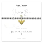 Life Charms Bracelet QUEEN BEE - You are the Bees Knees - Beautifully Gift Boxed