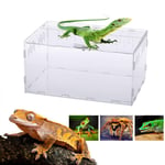 rcraftn Boite d'élevage de Reptiles - Boîte d'alimentation en Acrylique pour Tortue lézard araignée