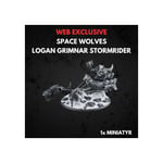 Space Wolves Logan Grimnar Stormrider Warhammer 40K