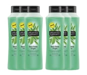 Alberto Balsam Shampoo Tea Tree Tingle 360ml x 6