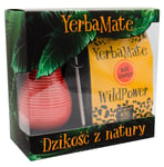 Yerba Maté Kit - Mate Wild Energy, Röd Matékopp och Bombilla