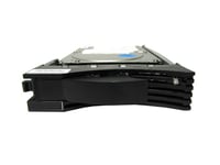 Lenovo - Hårddisk - 73,4 Gb - Hot-Swap - 3,5" - Ultra320 Scsi - 10000 Rpm - För Eserver 326  Eserver Xseries 206  226  236  Eserver Xseries 325  Bladecenter Hs20  Hs40