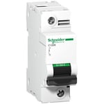 SCHNEIDER ELECTRIC C120N JSK 1P C 125A 10KA (A9N18359)