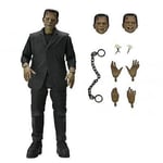 UNIVERSAL MONSTERS (COLOUR) FRANKENSTEIN'S MONSTER FIGURE