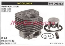 Cylindre Piston Segments MC CULLOCH Moteur Débroussailleuse ELITE 4600 009312