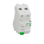 Interrupteur différentiel SCHNEIDER ELECTRIC, 30 mA 63 A type A