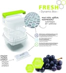 Rotho - 1025990000 - Fresh Set med 4 Fresh Filter System refills, nya filter, vit, (12,0 x 6,7 x 4,2 cm)