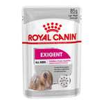 Royal Canin Exigent Care Mousse - 12 x 85 g