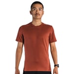 Fusion Technical Merino 150 T-shirt Men Rödbrun XXXL - Fri frakt