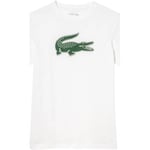 T-shirt Lacoste  Tee-shirts core performance