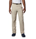 Columbia Men's Silver Ridge Cargo Pants - Fossil, Size 38/34