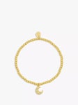 Estella Bartlett Sienna Moon Charm Stretch Bracelet