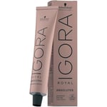 Igora Royal Absolutes 8-01 Blond clair cendré naturel 60 ml