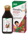 Floradix Kids Iron and Vitamin Formula for Children 250ml Liquid