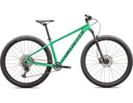 Specialized Rockhopper Expert L