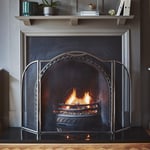 Pewter Curved Surround Fire Screen H79.5cm W130cm